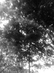 31001EA6-D137-40D0-A5A7-489995751EA4/L0/001