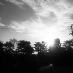 54BCB17D-94E9-47C9-B77E-8D04AAFAF772/L0/001