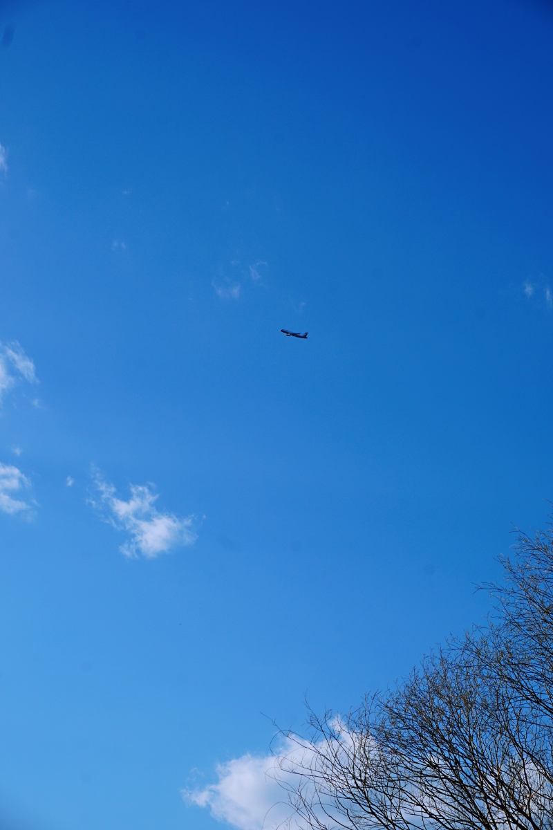 颐和园颐和四季颐和园的那场雪大雪纷飞颐和园的春天春暖花开
