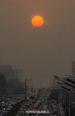 202852