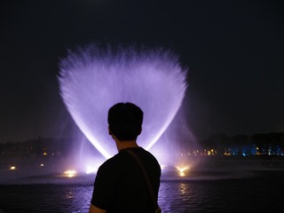 3606