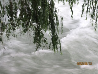 799F70F5-27A6-41A4-8E9B-1303F5F95328/L0/001