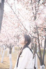 6B1A6A0C-F809-4991-AE5C-55E443FF3D55/L0/001