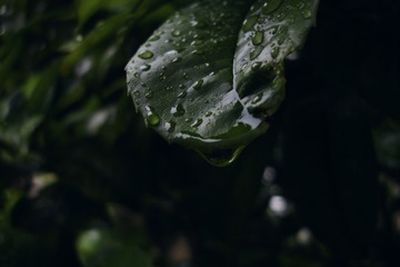 791807
