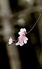 D768D0D2-A74D-40EE-9D8D-5B0B96CE61D1/L0/001