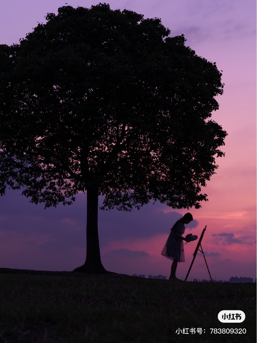 苏州半月湾的一棵树美好的夕阳静谧的傍晚