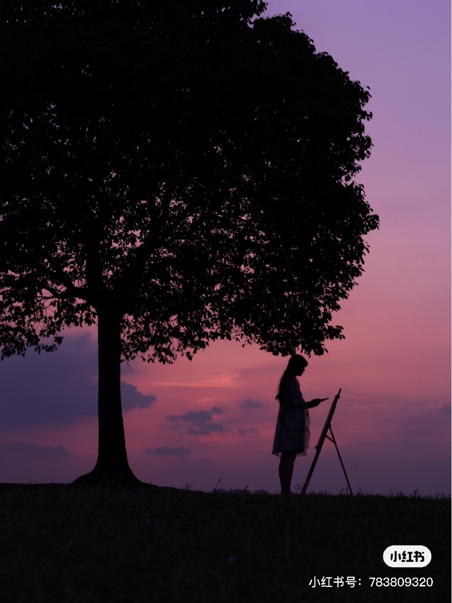 苏州半月湾的一棵树美好的夕阳静谧的傍晚