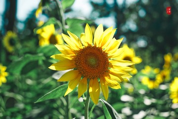 4C48F655-B695-4945-98C6-B9C36BA29F8E/L0/001