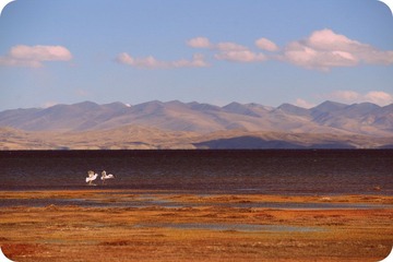 DSC03120.JPG