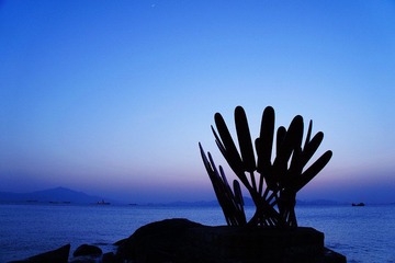 城市之桨