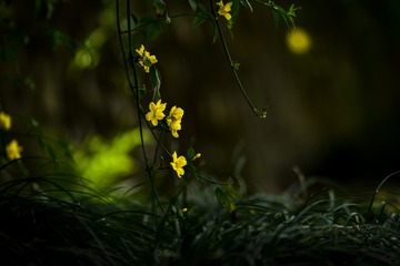 978434