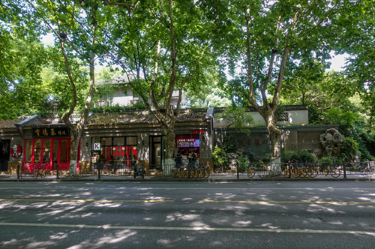 夏日正午的杭州南山路树影婆娑