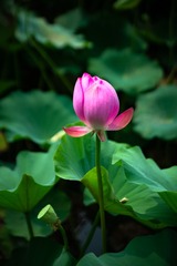 001