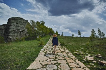 DP0Q1481