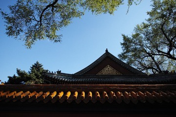 DP0Q1062