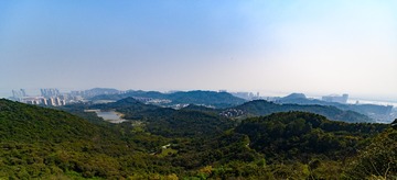 DSC_4464