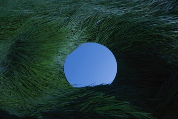 21C6B69C-CEB0-48EF-8E26-E462F0CE2852/L0/001