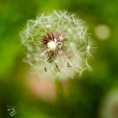 20150424-_4240015