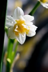 20170205-_DSC0877