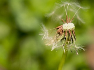 20170401-_4010060