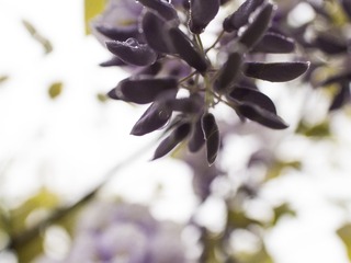 20170411-_4110006