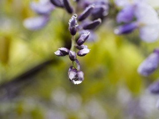 20170411-_4110014