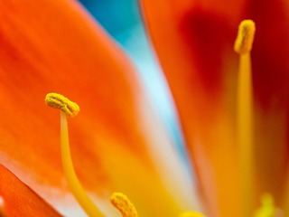 20170422-_4220003