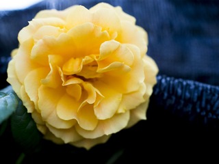 20170429-_4290044