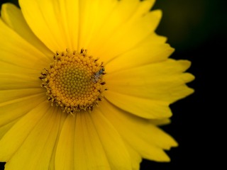 20170509-_5090006