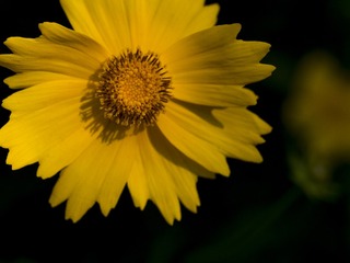 20170509-_5090008