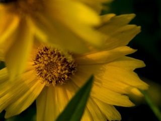 20170509-_5090036