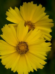 20170509-_5090011