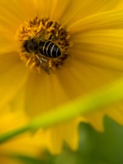 20170509-_5090042