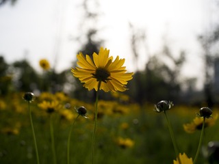 20170510-_5100004