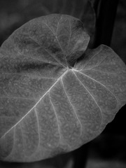 20170629-_6290030