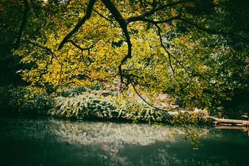 20211113MP240_L1001196