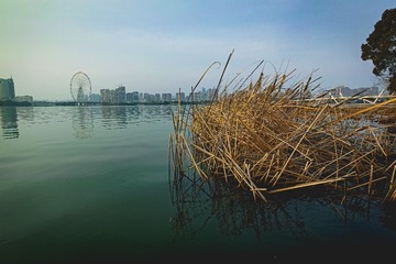 20240303DP0Q-_P0Q0015