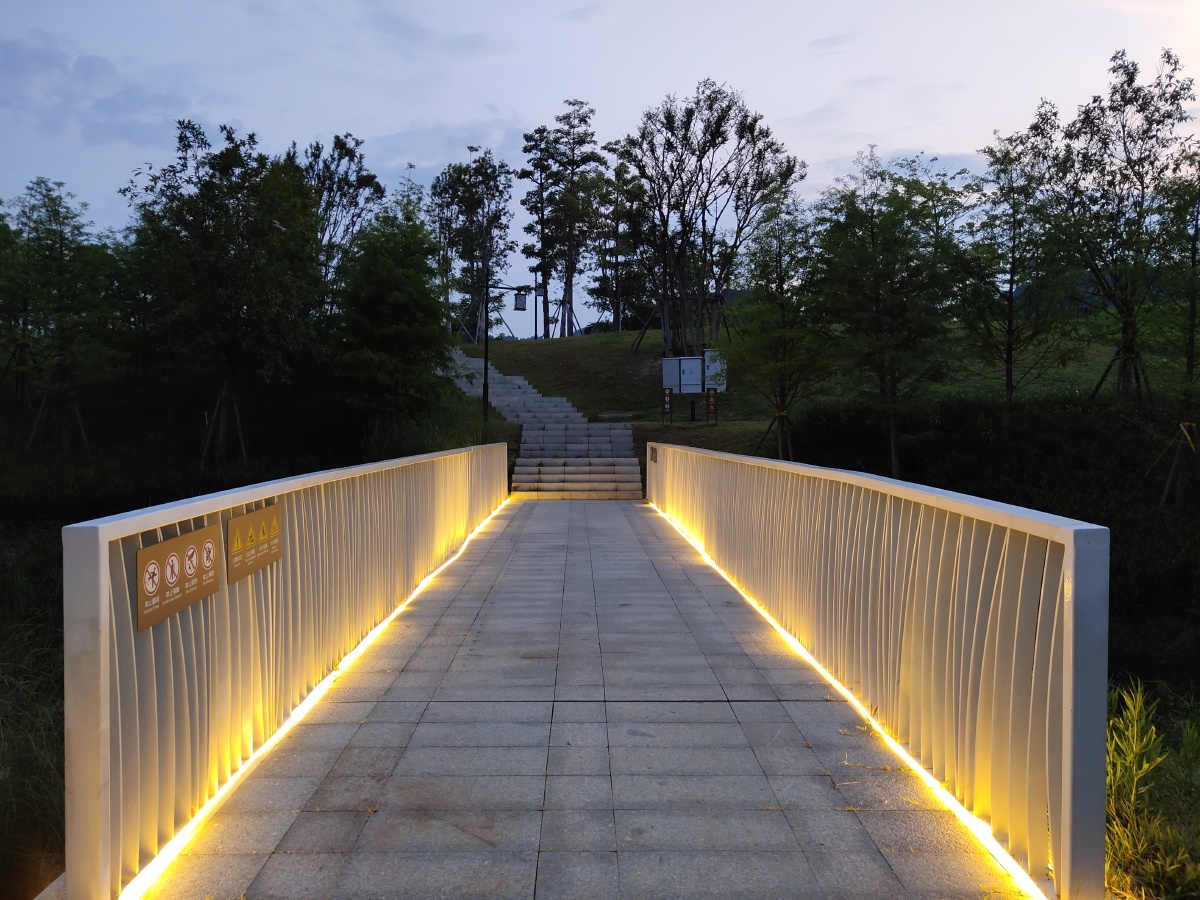 柳州生态湿地公园网红夜光跑道