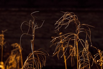 6597F195-56C6-4B3B-A763-1809A8115502/L0/001