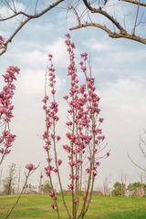 F0E2BA3B-992F-4368-91E9-3D812488FD47/L0/001