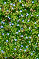 830BA2BB-46F5-4476-8C65-9FD5E69DA257/L0/001