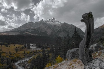 339214