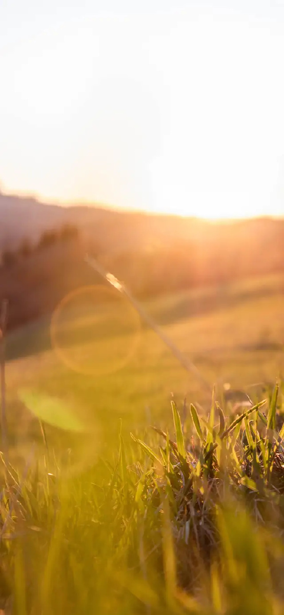 风景壁纸大自然才是真正的治愈系