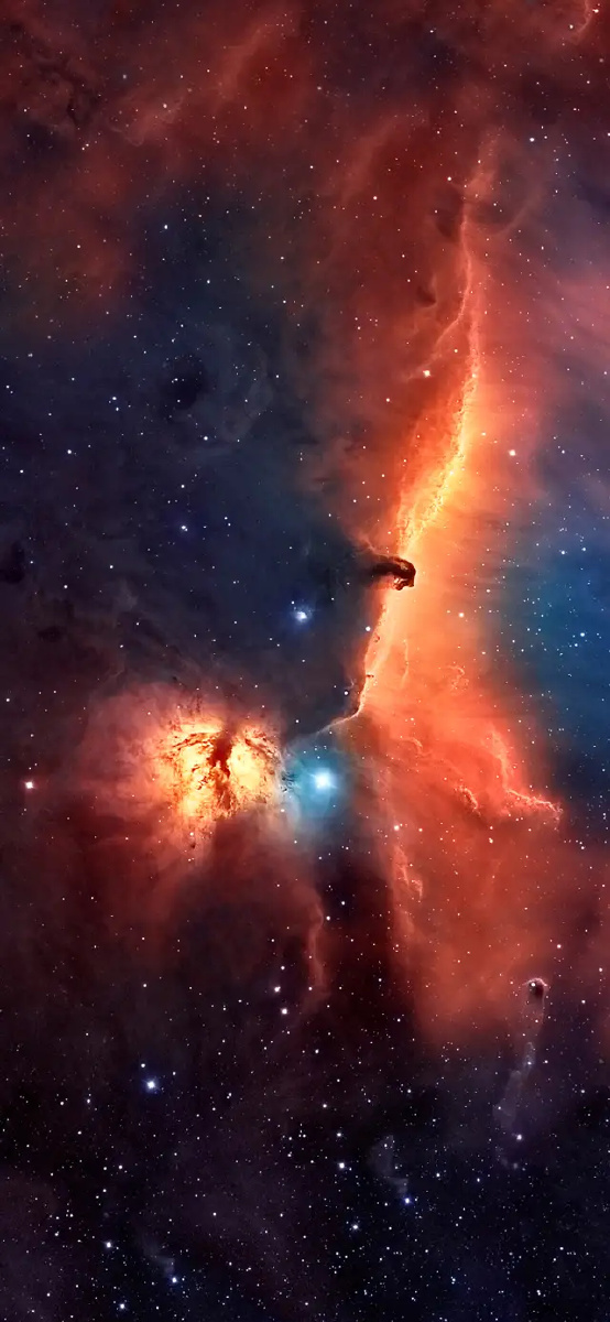 心怀浪漫宇宙也珍惜人间日常