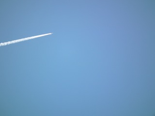 10043
