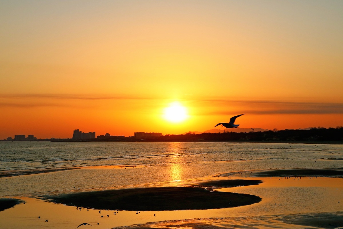 日出东山,落戴河,日复一日.新年迎春,未辞岁,年复一年.