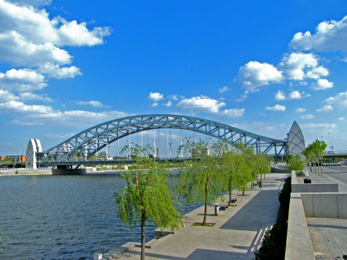 海河漂亮的国泰桥