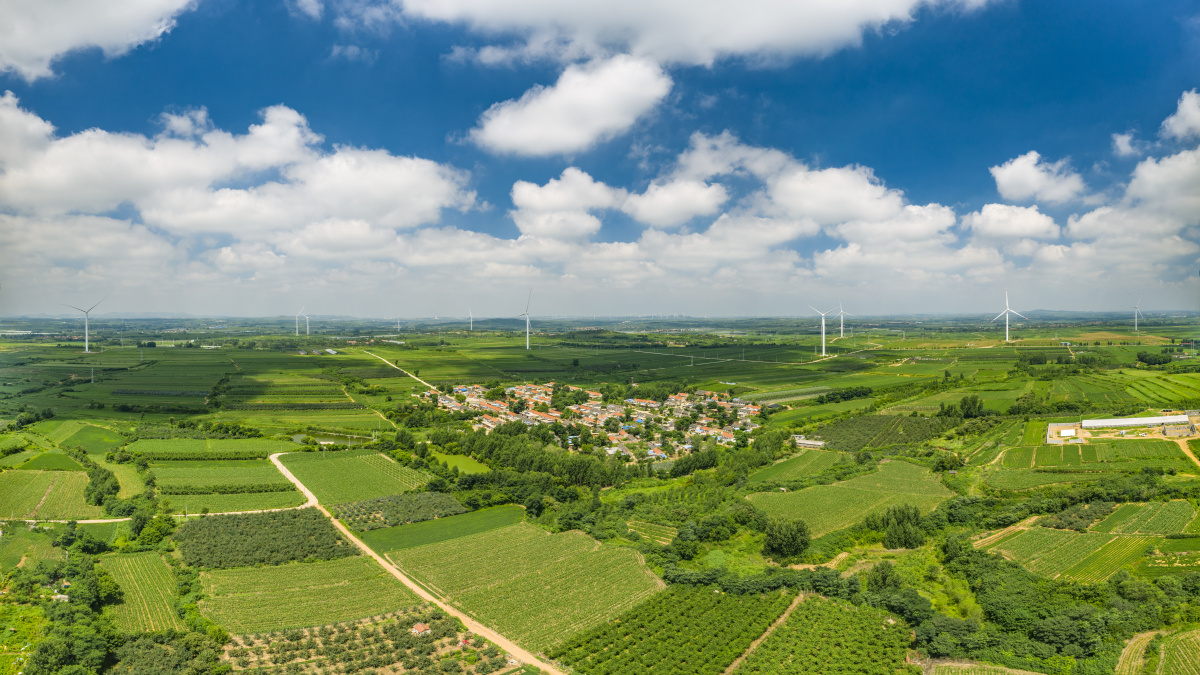青岛莱西马连庄镇的一个小村庄