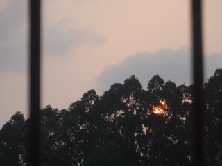 295A63B8-C550-426E-B298-CEA235D37215/L0/001
