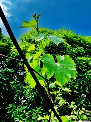 71C92DD9-404D-45FF-9C5F-DF7C9D2C0E68/L0/001
